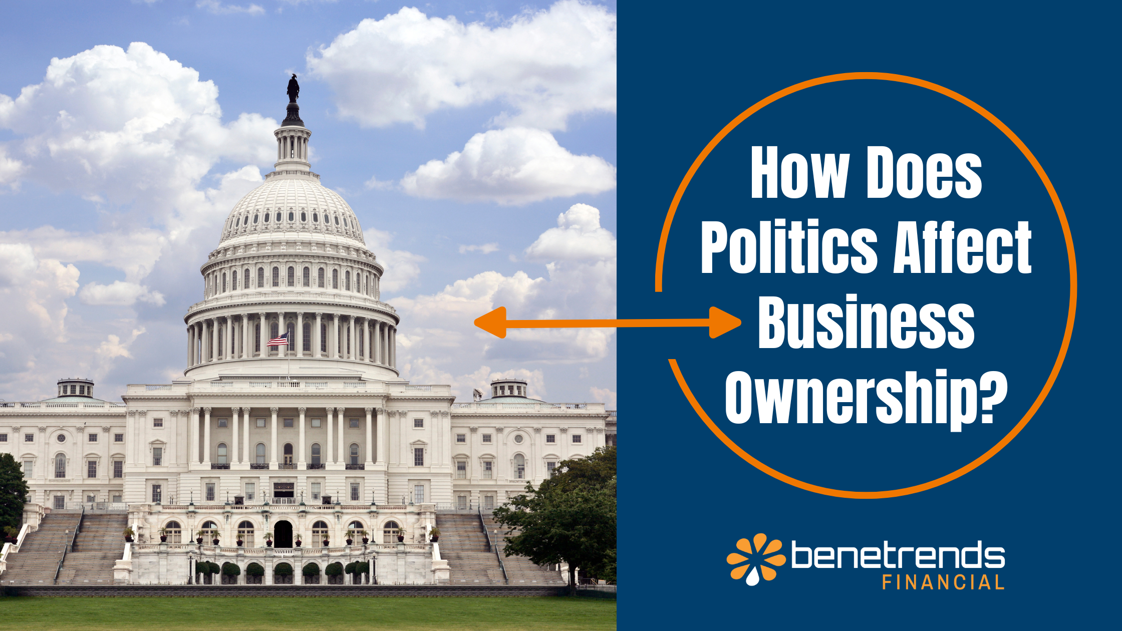 politics affect business